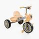 Велосипед трехколесный с фонариком и украинским озвучкой BS-35761 "Best Trike" 2 корзины, колеса EVA 168735 фото