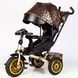 Велосипед трехколесный с поворотным сиденьем BestTrike "Perfetto" 8066/819-40 колеса резиновые, корзина, фара музыкальная, USB, Bluetooth 169848 фото