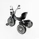 Детский велосипед трехколесный с украинской озвучкой (BS-67800) Best Trike колеса EVA переднее 10&rdquo;, заднее 8&rdquo;, стальная рама 168722 фото 2