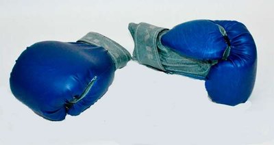 Рукавички бокс кож. зам. 12 унц "ТМ JAB" 19105 фото